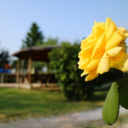 Agriturismo Ai Vigneti Понти-суль-Минчо Экстерьер фото
