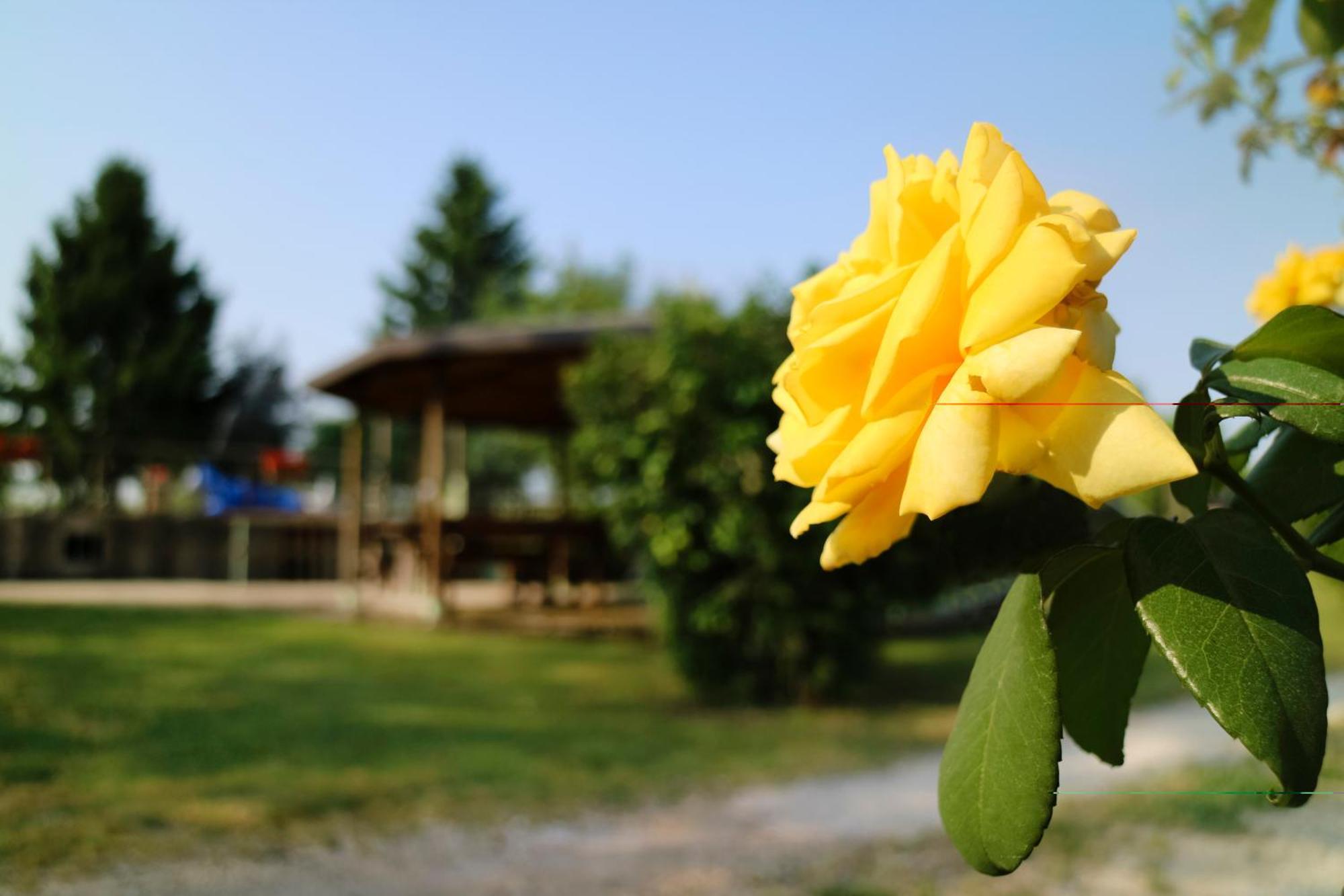 Agriturismo Ai Vigneti Понти-суль-Минчо Экстерьер фото